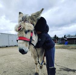 A young person cuddling a donkey.